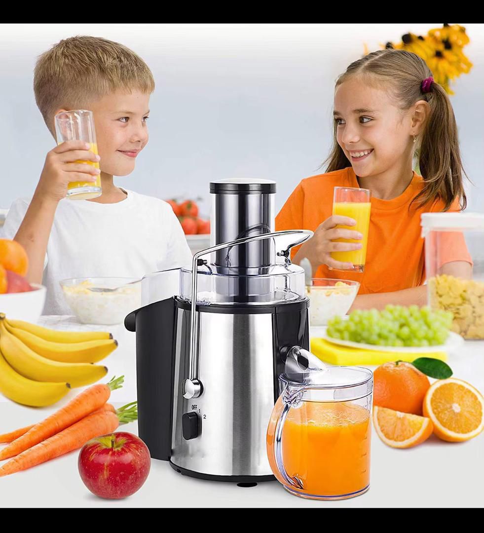 Extracteur de Jus RAF – 450ML | Puissant et Facile à Utiliser